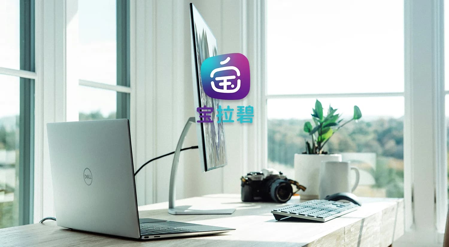 让宝拉碧 (Baolabee) 成为连接您业务到泰国的桥梁